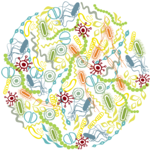The human microbiome