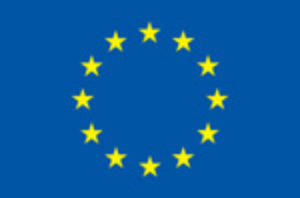 euflag