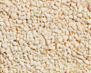 koji-close-up-clap