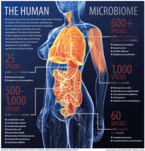 microbiome