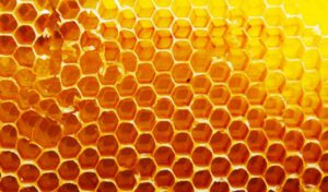 honeycomb-730x430