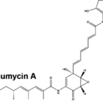 Manumycin A (farnesyltransferase inhibitor)