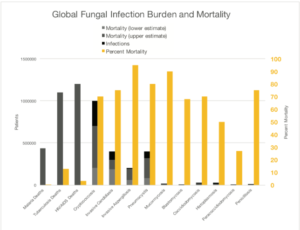 Global Fungal infection