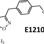 E1210