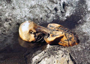 OetzitheIceman-glacier-199109a