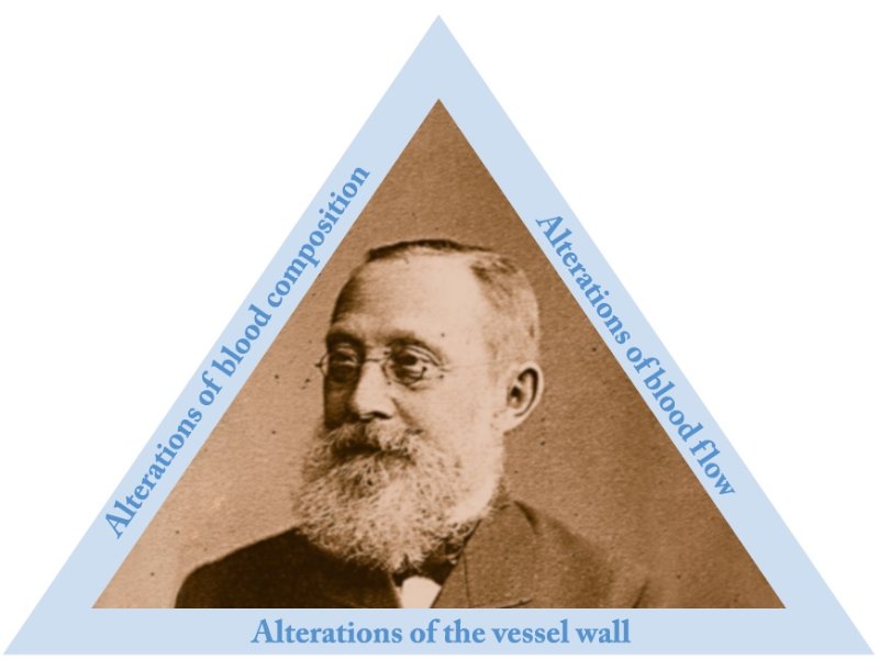 Rudolf Virchow, 1821-1902