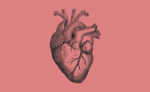 heart