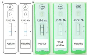ASPGAb