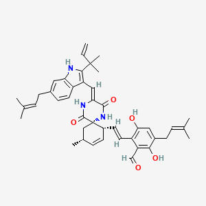 Cryptoechinuline B